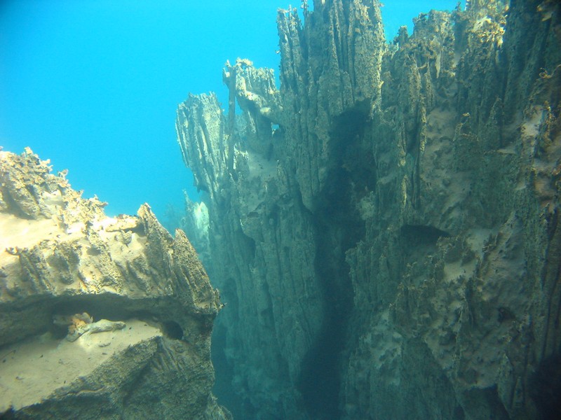 Bilder aus dem Barracuda Lake